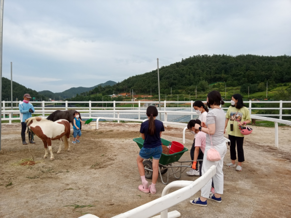 장애인 재활승마